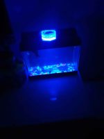 RGB Далечински Управувана Светилка за Базени и Аквариуми – Водоотпорна - Image 2