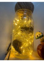 Nadvoresen Amber 10 Metri Led Novogodišna Dekoracija So Možnost za Dodavanje - Image 4