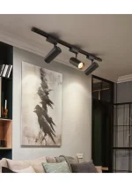 30w Led Ray Spot Siyah Kasa - Günışığı Renk - Image 2