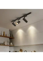 30w Led Ray Spot Siyah Kasa - Günışığı Renk - Image 3