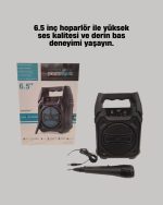 15W Моќен Bluetooth звучник со FM радио и поддршка за микрофон - Image 2