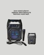15W Моќен Bluetooth звучник со FM радио и поддршка за микрофон - Image 3