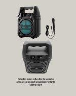 15W Моќен Bluetooth звучник со FM радио и поддршка за микрофон - Image 4