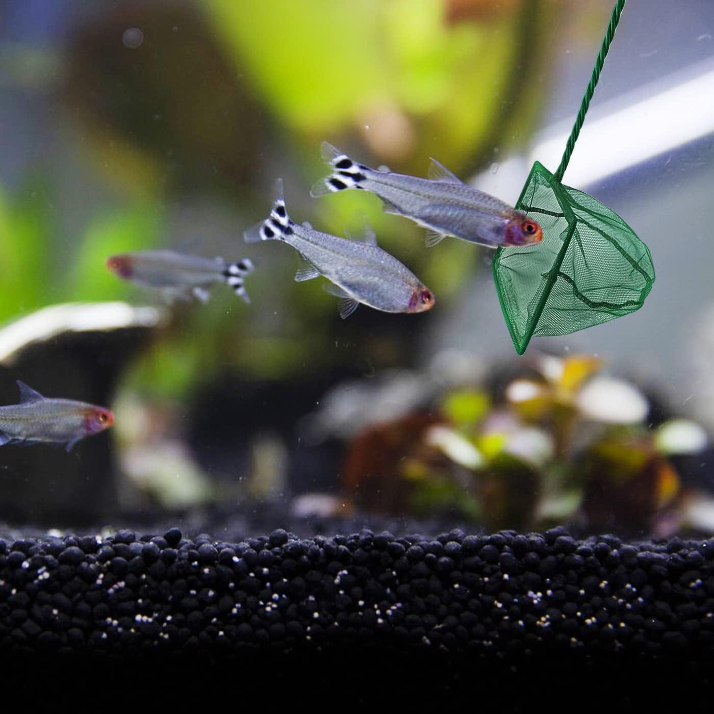 akvaryum-balik-kepcesi-12-cm-29288_1.jpg Кепче за Риби за Аквариум 12 см. - Image 1