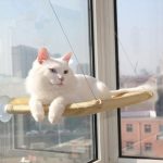 Кревет за мачки што се закачува на прозорец - Image 2