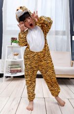 Детско Костим на Тигар - Лав Костим