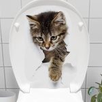 Decohandy Клоцет Етикета Stray Cat