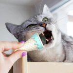 Кошничка од мачка со облик на сладолед
