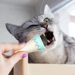 Кошничка од мачка со облик на сладолед