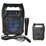 Bluetooth звучник со FM радио и Karaoke микрофон