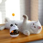 Играчка со храна за мачки