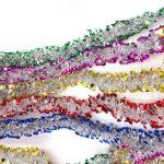 Сини Сребрени Двојни Сим Сукне 180 см - Image 2