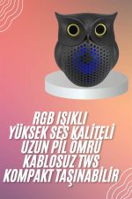Bluetooth Звучник 5.0 Безжичен Сови Облик