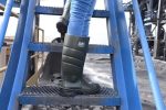 Pollyboot Vega Чизми со челичен врв, број 36, полиуретан - Image 2