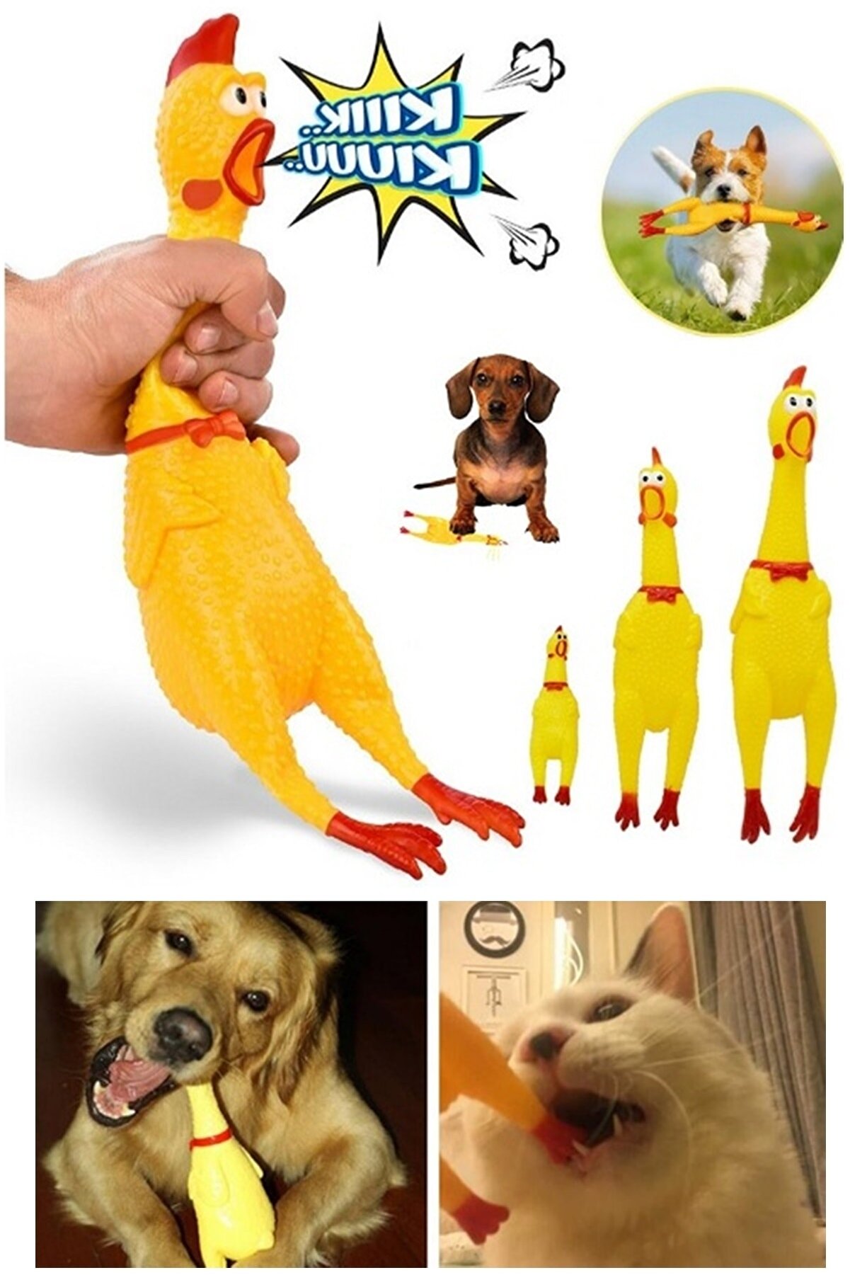 ses-cikaran-tavuk-kedi-kope-29471_1.jpg Играчка за мачки и кучиња - Петака што прави звук - Image 1