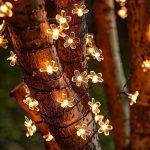 Solar 5m 50 LED Папатја Денско Светло 8 Функции