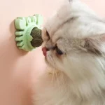 Топка со мачка трева